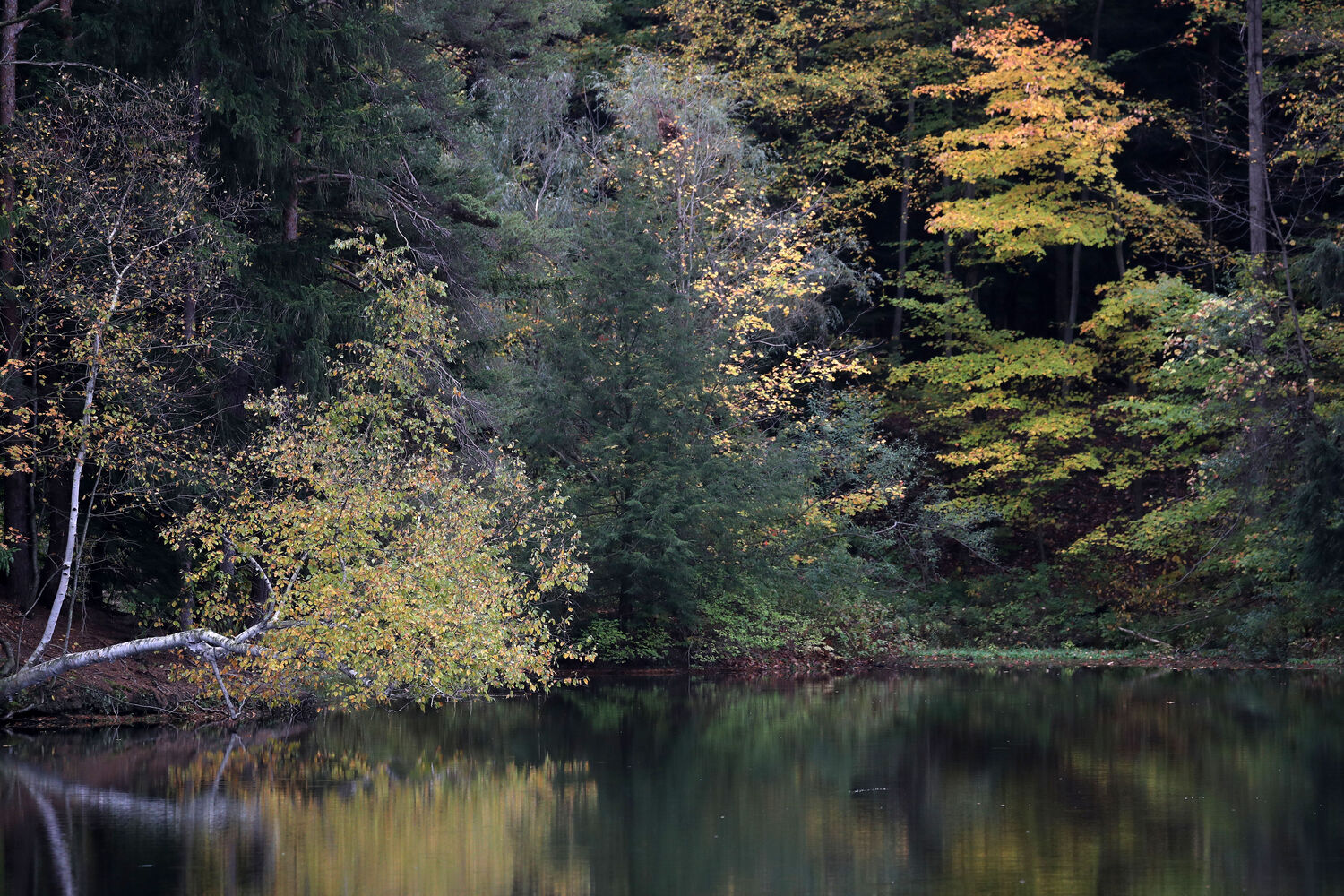 Fishing pond